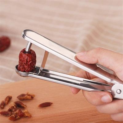 China Kitchen Instrument Stainless Steel Putter Jujube Cherry Olive Plum Sheller Fruit Corer Seed Viable Solvent for sale