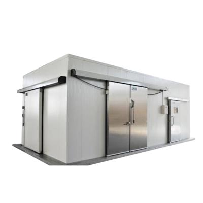 China Good price solar walk in freezer for seafood for sale