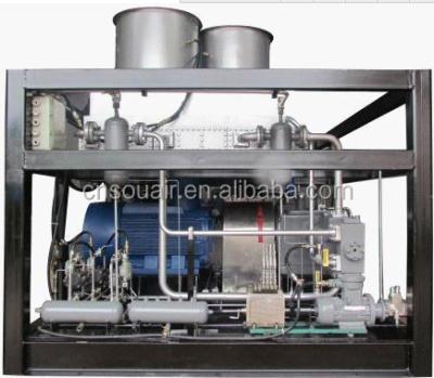 China High quality oil free chinese souair brand natural gas compressor CNG station compressor for sale