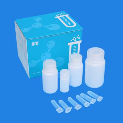 China Molecular Biology DNA Extraction Kits Magnetic Bead Method Nucleic Acid Test Kit for sale