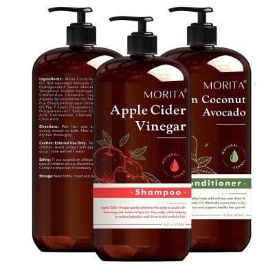 China LovelyCSM Organic Biotin Apple Cider Vinegar Shampoo Hair Loss Coconut Conditioner Anti-itching Paraben Sulfate Free Shampoo and Conditioner for sale