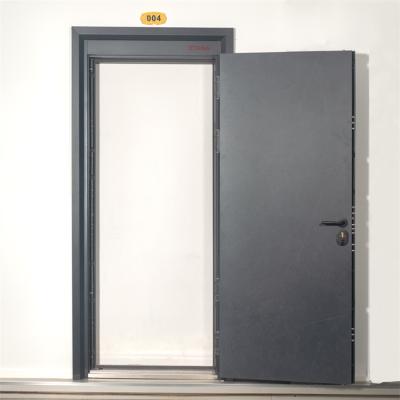 China 2022 Latest Design China Supplier Hot Sale Anti-theft Security Steel Door In Door for sale