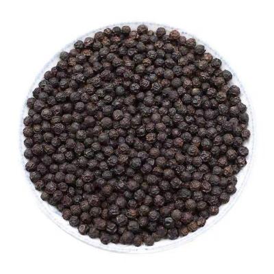 China Dried Good Quality Black Pepper Exclusive Deal for sale