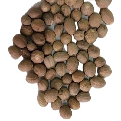 China 2021 Wholesale 100% Dried High Quality Hot Selling Natural Original Dried Nutmeg for sale