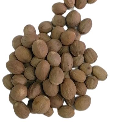 China Wholesale high quality new arrival dry organic nutmeg fruit nutmegs with shell for sale