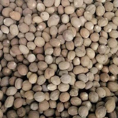 China New Arrival Dried High Quality Nutmeg 100% Organic Nutmeg Nuts For Food Spices for sale