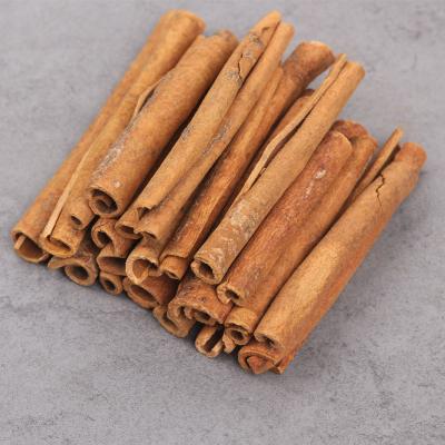 China Dried cinnamon stick/cassia seed/cinnamon cassia for sale