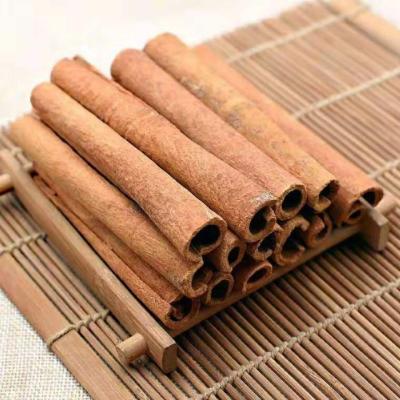 China Dongxing dry mistletoe/new cinnamon roll/high quality best-selling products in China for sale