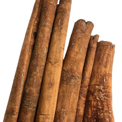 China Factory Supply Product Affordable Price Hot-selling Dried Huangpi Guitong Chinese Cinnamon for sale