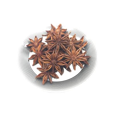 China Guangxi 2021 dry produce boutique high quality star anise/single spice for sale