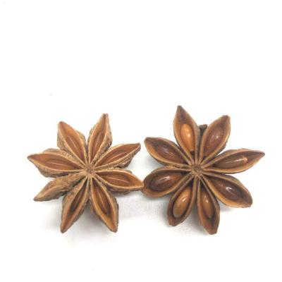 China Factory wholesale dry organic star anise anise anise in cheap price for sale