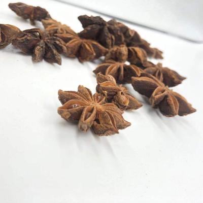 China Good Factory Wholesale Product Dried Star Anise Anise Red Organic Anise for sale