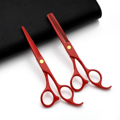 China Hot Professional Thinning Barber Hair Cutting Thinning Scissors Hairdressing Scissors Salon Tools for sale