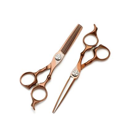 China Professional Thinning Scissors Hairdressing Scissors Thinning Shears Normal Hair Scissors Set for sale