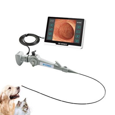 China Flexible All In One Bronchscopy 3.8mm Diameter Small Veterinary Animal Endoscope And 1000mm Working Length for sale