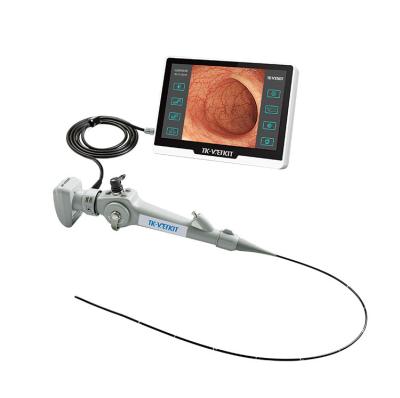 China Small Animal Veterinary Bronchoscope HD 720P Flexible Video Endoscope For Small Animal Bronchoscopy for sale