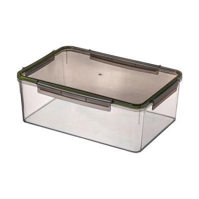 China The other refrigerator storage box can be divided into large medium and small transparent crisper with lid fruit and vegetable bento box for sale