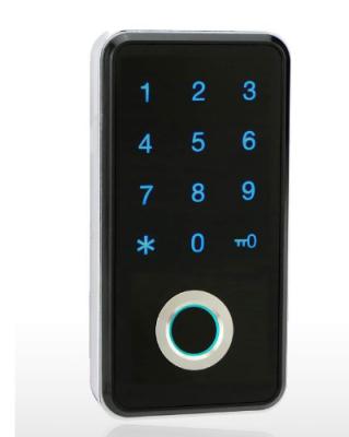 China ABS Plastic Single Electronic Lock With Fingerprint For Filing Cabinet, Locker, Drawer for sale