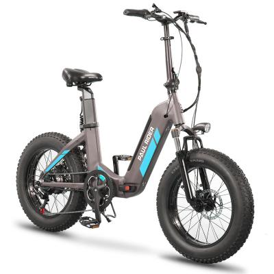 China High quality aluminum alloy lithium battery dual 750w electric bike with mobile phone charging holder for sale