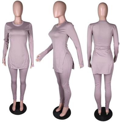 China New Arrival Rx-n9270 QUICK DRY Purple Long Sleeve Split 2 Pcs Set Women's Clothing O-Neck 2 Piece Sets for sale