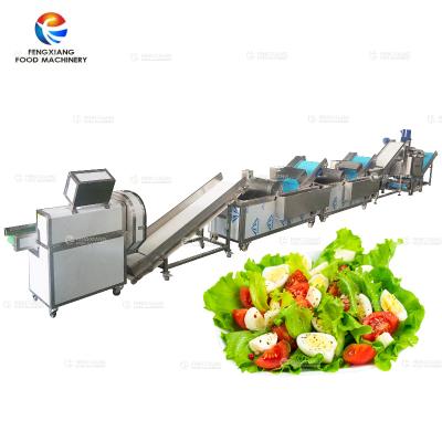 China Automatic Vegetable Salad Production Line Vegetable Processing Lines Salad Cutting Washing Spraying Pipes for sale