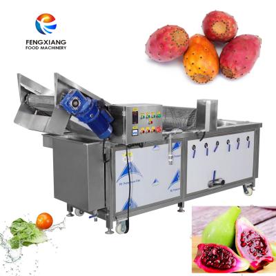 China Leafy Vegetables Like Lettuce With - A Prickly Pear 1000 Bubble Washing Machine Automatic Vegetable Washing Machine for sale