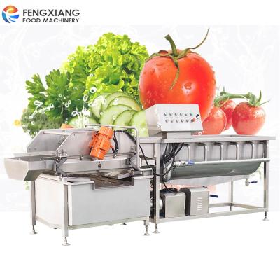 China Save Energy Fengxiang Eddy Current Washing Machine Spinach Cabbage Vegetable Washing Dewatering Machine for sale