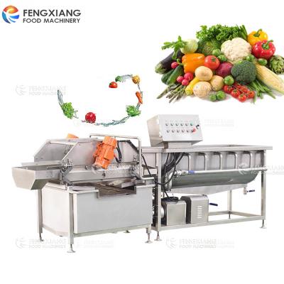 China Save Energy Fengxiang Eddy Current Washing Machine Vortex Type Vegetable And Fruit Washing Machine for sale