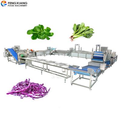 China Automatic Spinach Cutting Drying Machine Washing Blanching Vegetable Production Line for sale