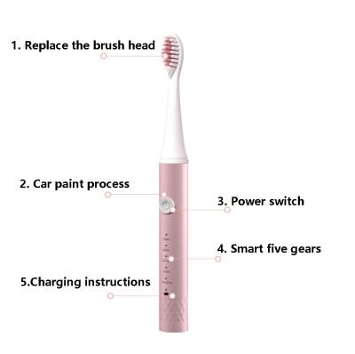 China Customized Waterproof Usb Sonic Electric Toothbrush Smart Ultrasonic Electronic Rechargeable Adult Travel China Private Label C001 for sale