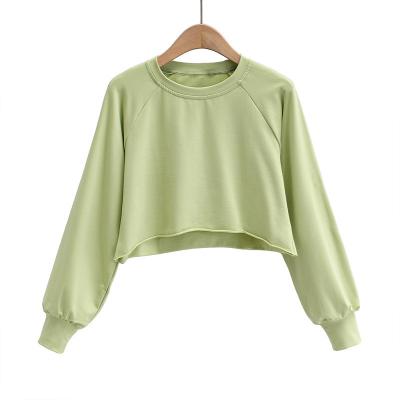 China Anti-wrinkle new arrival fashionable women cute O-neck fleeces ladies tops shirt for sale