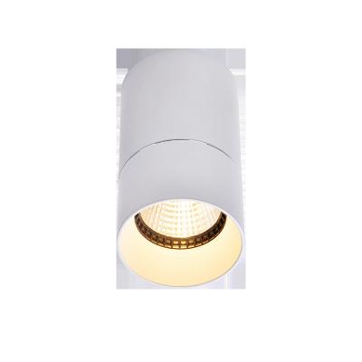 China 2021 Modern European Style 8W Round COB Surface Mounted Downlight For Living Room for sale