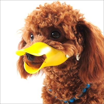 China Soft Pet Viable Muzzle Silicone Platypus Platypus Mouth Cover Dog Anti-biting Safety Adjustable Mask Duck Dog Muzzle for sale