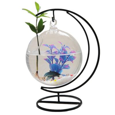 China Stocked Animal-to Glass Aquarium Moon Frame Hanging Fish Farming Tank For Aquariums Small Glass for sale