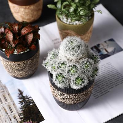 China Modern Wholesale Succulent Plant Pot Ceramic Plant Flower Pot for sale