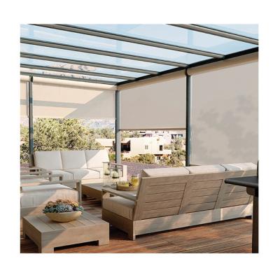 China Windproof Retractable Sun Shade and Screen Motorized Side Awning Screen PVC Waterproof Windproof Roller Blinds for sale