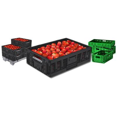 China Plastic Mesh Stackable Transport Vegetable Fruit Food Crate for sale