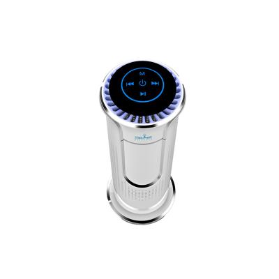 China Hot Selling Portable Smart USB Schwarzwald OEM ODM Car Air Air Purifier With Hepa for sale