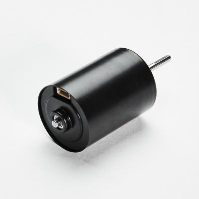 China Totally Enclosed Mirco 28mm Diameter 7.4V 12v 18V 24v BLDC 2838 Long Life And Low Noise Brushless DC Motor For Car Vacuum Cleaner for sale