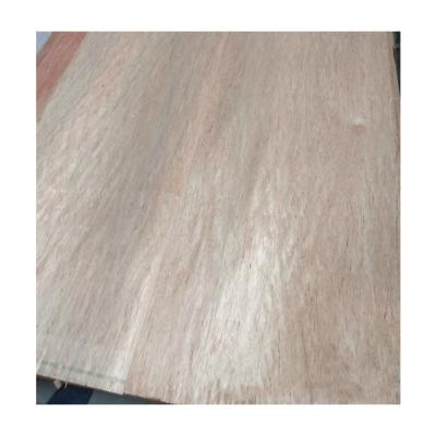 China All And Business International Commercial Mahogany Core Poplar Veneer Rotary Cut 1220 x 2440 x 0.25 mm for sale