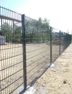 China Double wire mesh fence/Pvc coated twin wire 868 fence panel/welded wire mesh fence for sale