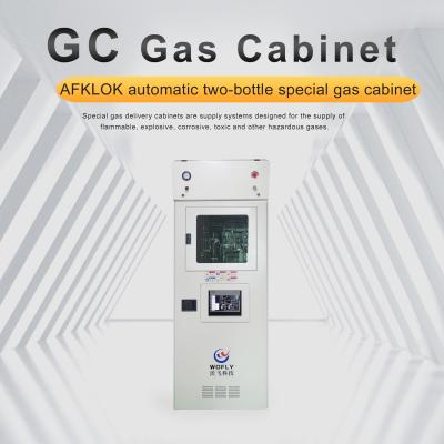 中国 Special Gas Conveying Cabinet for Flammable and Explosive Corrosive and Toxic Gases 販売のため