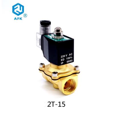 China Brass Electric Natural Gas Solenoid Valve 1/2 inch 220V for sale