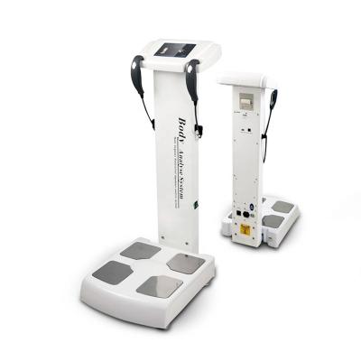 China Full body analyzer for fitness/body composition analyzer/wholesale professional body analyzer with printer Because-001 for sale