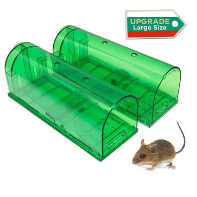 China 170mm mini 2021 viable hot sale Green&Tawney Humanitarian Reusable Live Catch Mouse Trap Rodent Control Rat Cage 2 Packs for sale