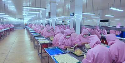 Verified China supplier - Handan Zhaohui Biotechnology Co., Ltd.