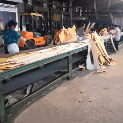 China Interior architectural, timber, laminated board, multi-layer and double-sided adhesive, double-sided blade for sale