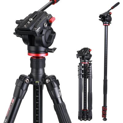 China 360   All-round Stability Shooting Mobile tripod Professional selfie camera tripod live camera ring light tripod for sale