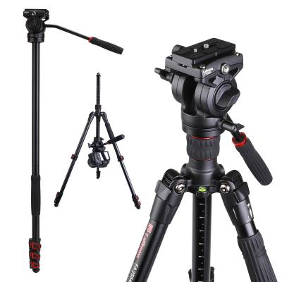 China PORTABLE Tripod, professional tripod, for cameras for sale