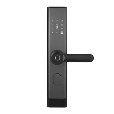 China Modern Wireless Internal Internal Outdoor Electronic Fingerprint Lock Rfid Smart Lock Life Panel Residental Lock Outdoor Security For Sliding Door for sale